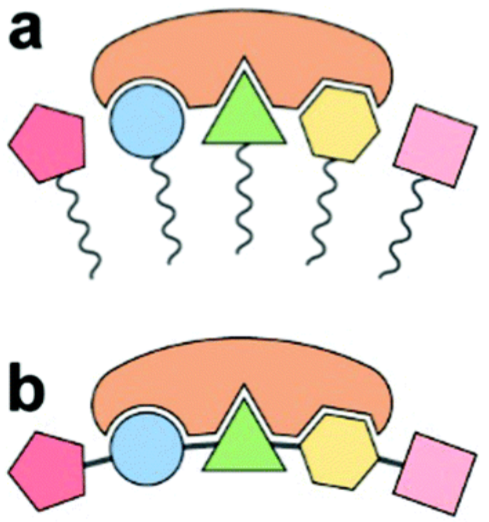 Paper 8